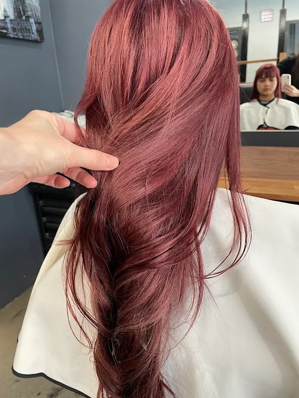 THE HAIR — Hairdresser in Southport